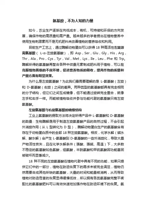 氨基酸，不为人知的力量