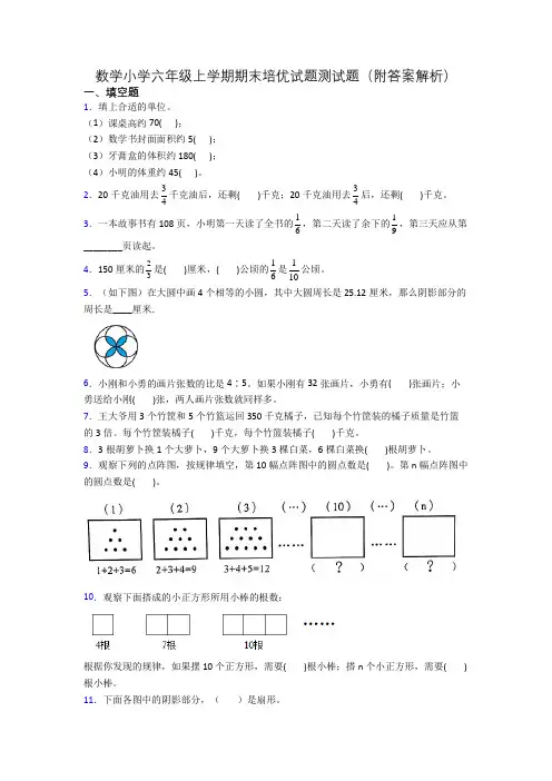数学小学六年级上学期期末培优试题测试题(附答案解析)