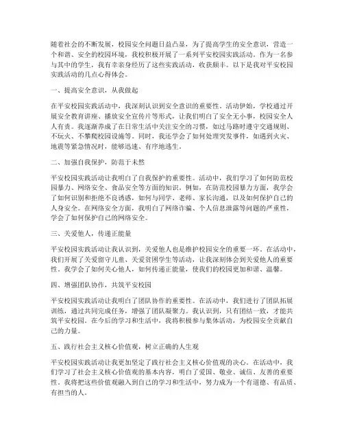 平安校园实践心得体会