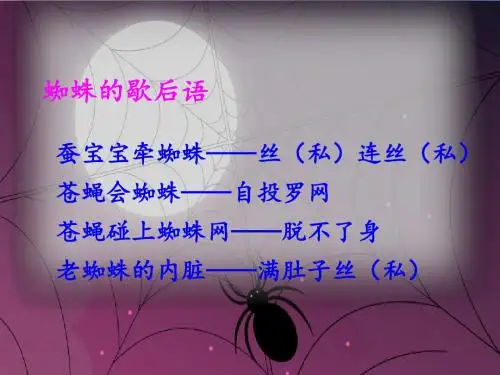 二年级语文下册课件：20蜘蛛开店 人教部编版(24张PPT)