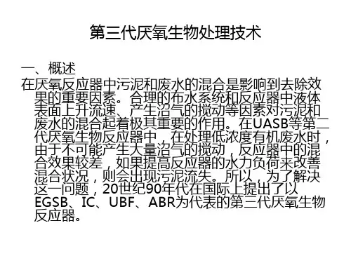2020年第九章 第三代厌氧生物处理技术 2课时0812参照模板