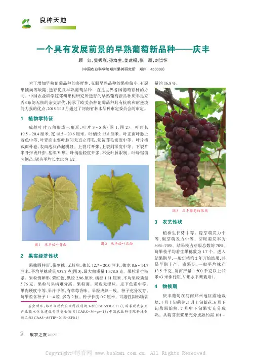 一个具有发展前景的早熟葡萄新品种——庆丰