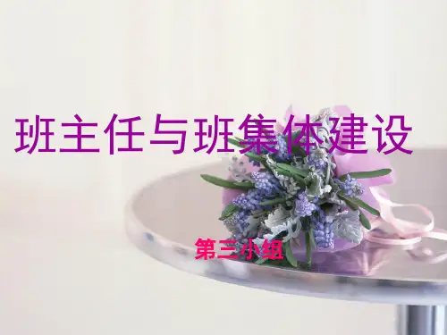 班集体建设(课堂PPT)