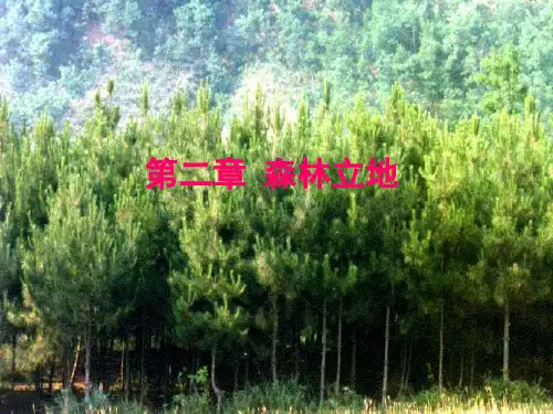 第二章  森林立地