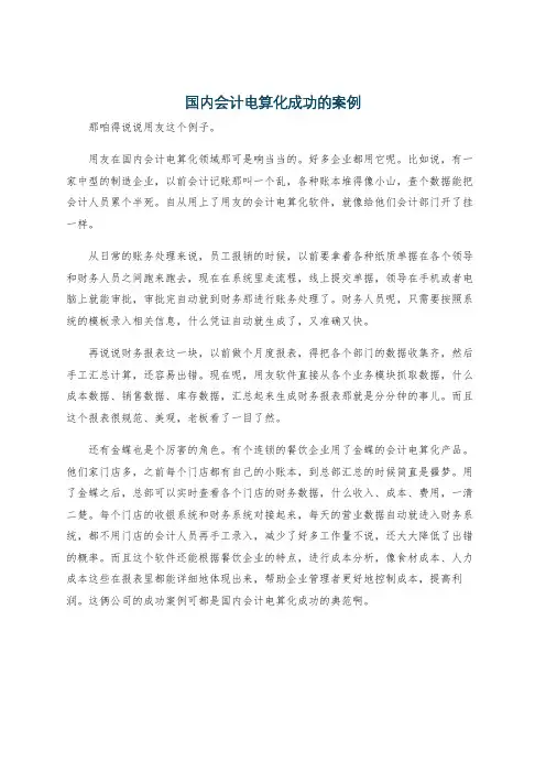 国内会计电算化成功的案例