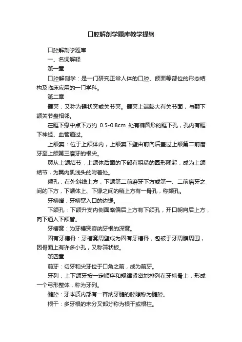 口腔解剖学题库教学提纲