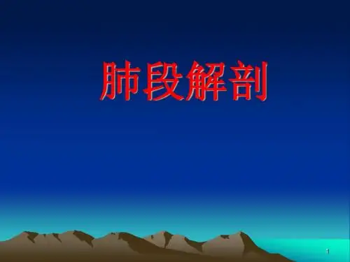 CT正常彩色解剖图谱(肺段解剖)医学PPT课件