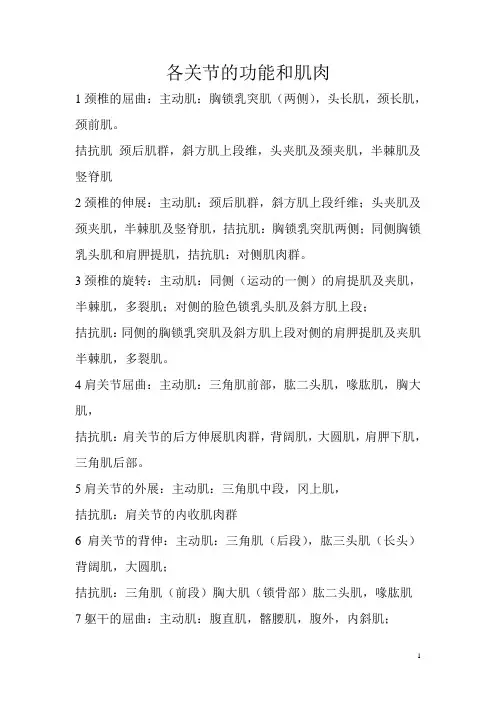 各关节的功能和肌肉