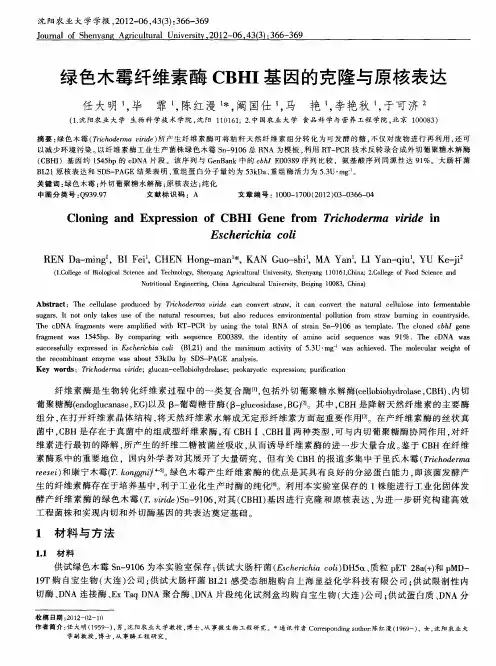 绿色木霉纤维素酶CBHI基因的克隆与原核表达
