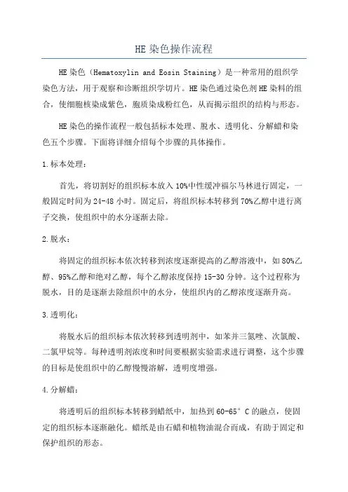 HE染色操作流程