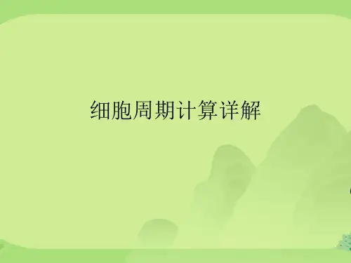 细胞周期计算详解