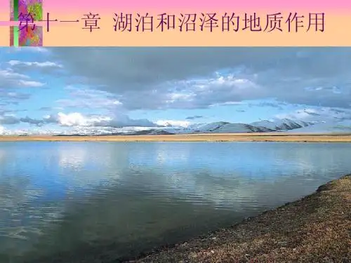 第十一章 湖泊沼泽