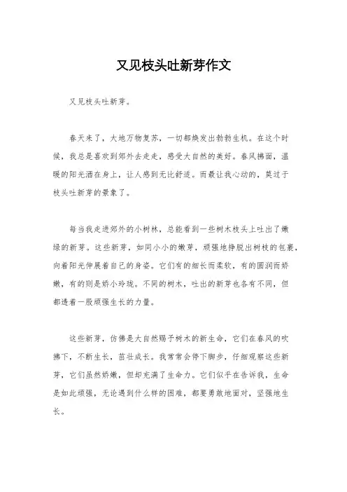 又见枝头吐新芽作文