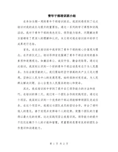 青年干部培训班小结