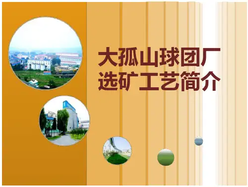 大孤山球团厂选矿工艺简介