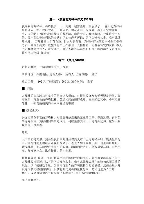 关于万峰林的作文