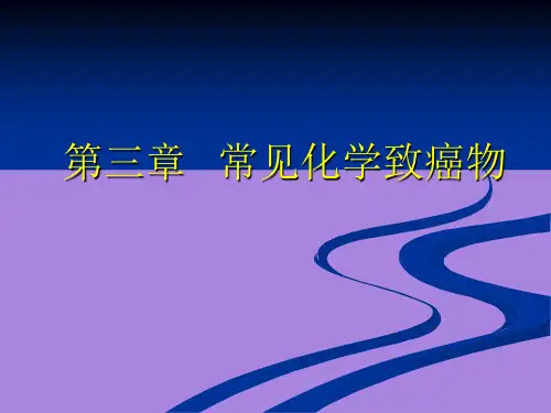 第三章 常见环境化学致癌物