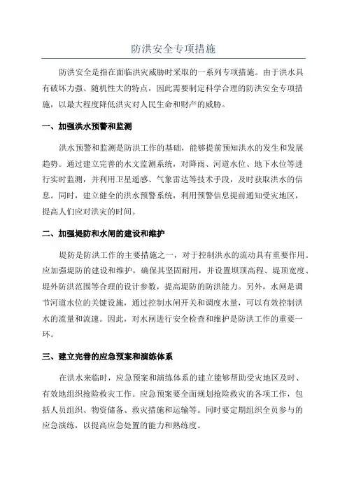 防洪安全专项措施