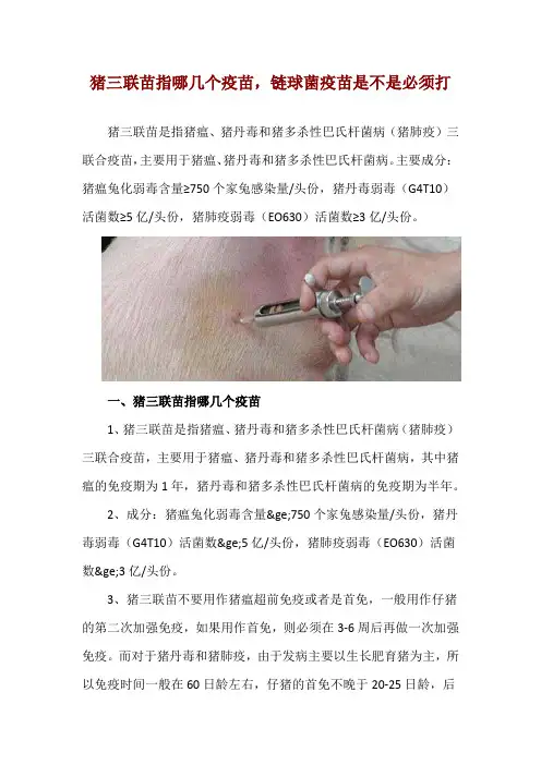 猪三联苗指哪几个疫苗,链球菌疫苗是不是必须打
