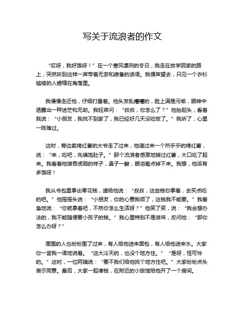 写关于流浪者的作文