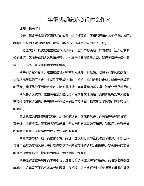 二年级成都旅游心得体会作文