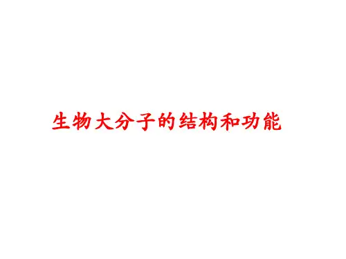 分子生物学：生物大分子的结构与功能