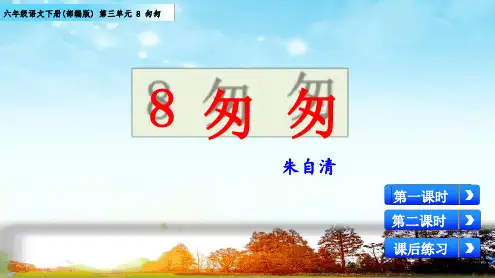 部编版六年级语文下册第三单元第8课匆匆课件+课后练习