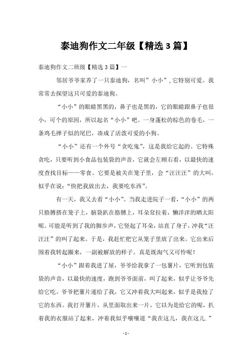 泰迪狗作文二年级【3篇】