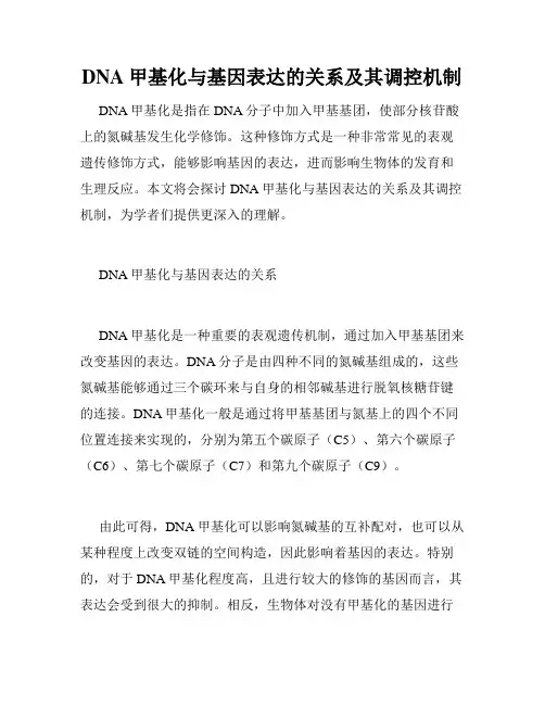 DNA甲基化与基因表达的关系及其调控机制