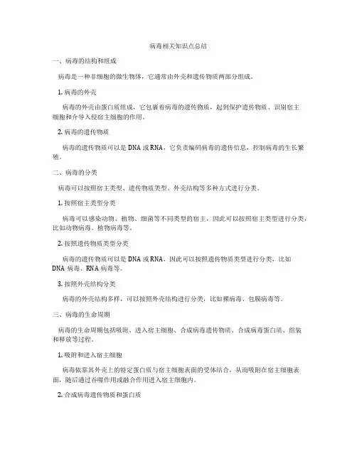 病毒相关知识点总结