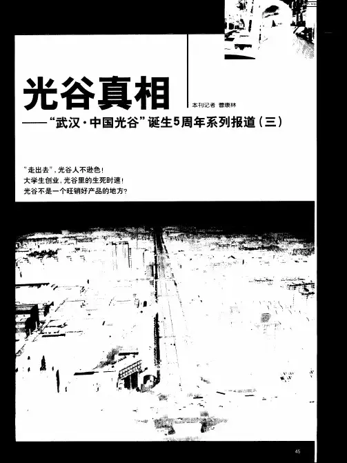 光谷真相——“武汉·中国光谷”诞生5周年系列报道(三)
