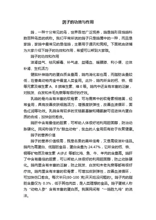 鸽子的功效与作用