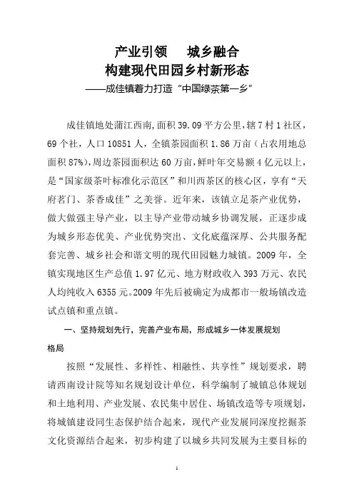 产业引领 城乡融合 构建现代田园乡村新形态(成佳)