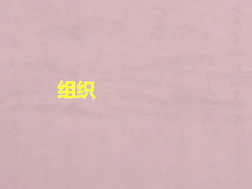 护理管理学组织PPT课件