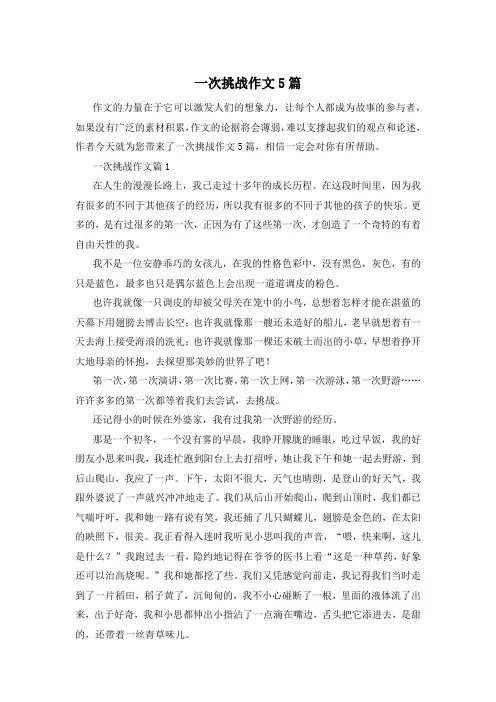 一次挑战作文5篇