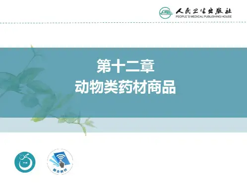 中药材商品学PPT课件 第十二章 动物类药材商品 鹿茸 课件