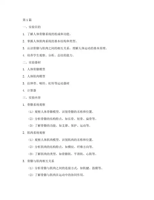 人体动力解剖实验报告(3篇)