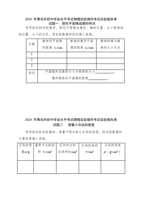 2024年山东省青岛市中考物理--实验操作报告单