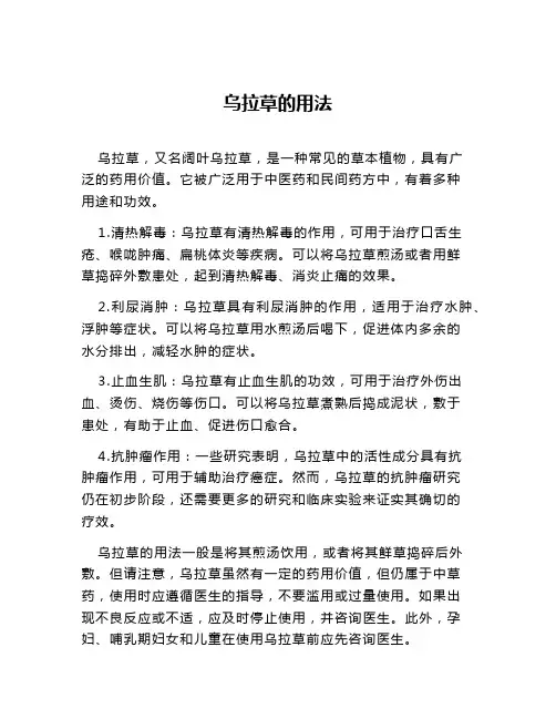 乌拉草的用法