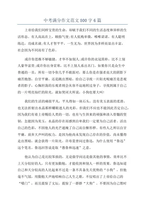 中考满分作文范文800字6篇