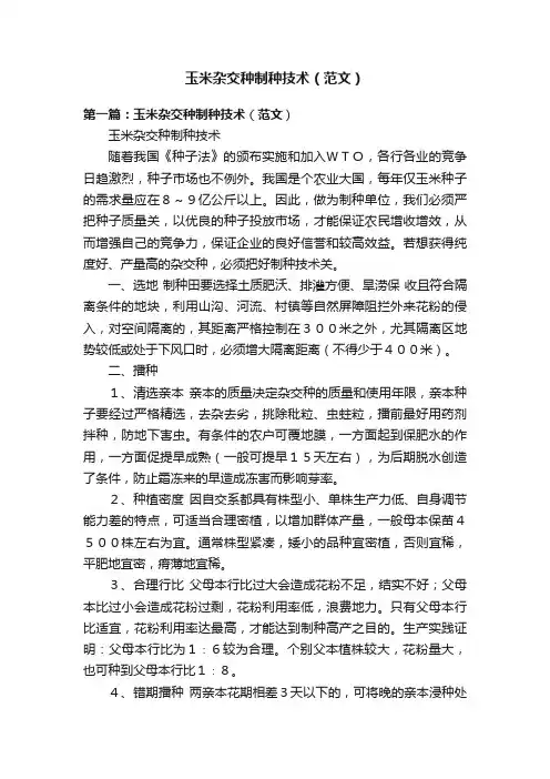 玉米杂交种制种技术（范文）