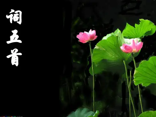 《渔家傲》《江城子》《破阵子》