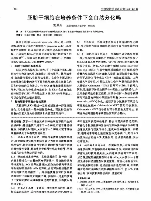 胚胎干细胞在培养条件下会自然分化吗