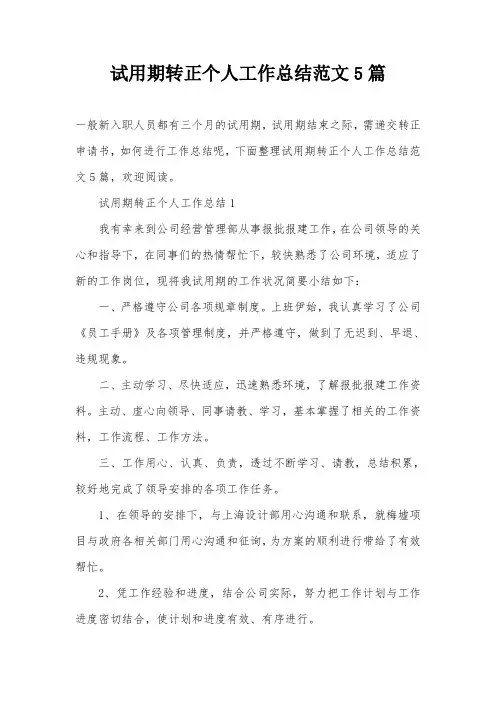 试用期转正个人工作总结范文5篇