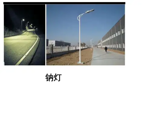 【人教版化学】《钠及其化合物》ppt课件1