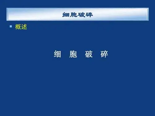 细胞破碎