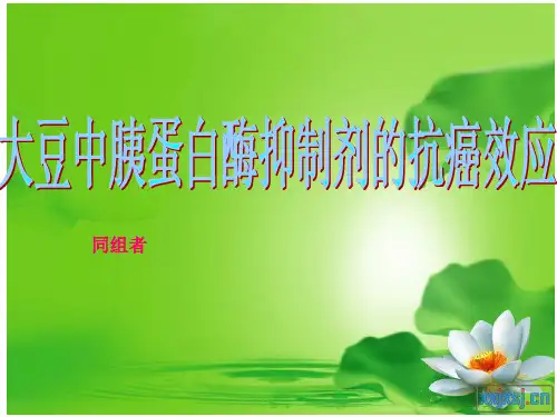 胰蛋白酶抑制剂