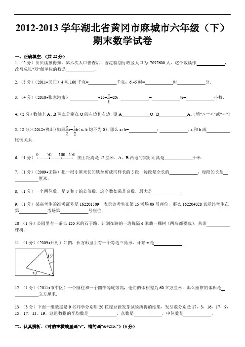 2012-2013学年湖北省黄冈市麻城市六年级(下)期末数学试卷