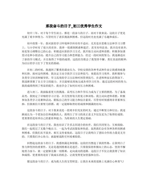 那段奋斗的日子_初三优秀学生作文