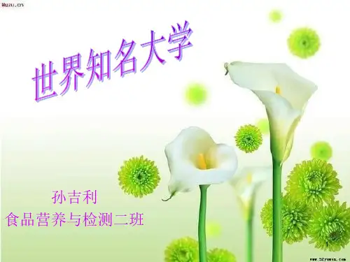 世界知名大学PPT课件